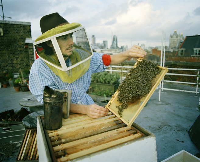 Urban beekeeper with his hive on a rooftop | Photo: Getty Images