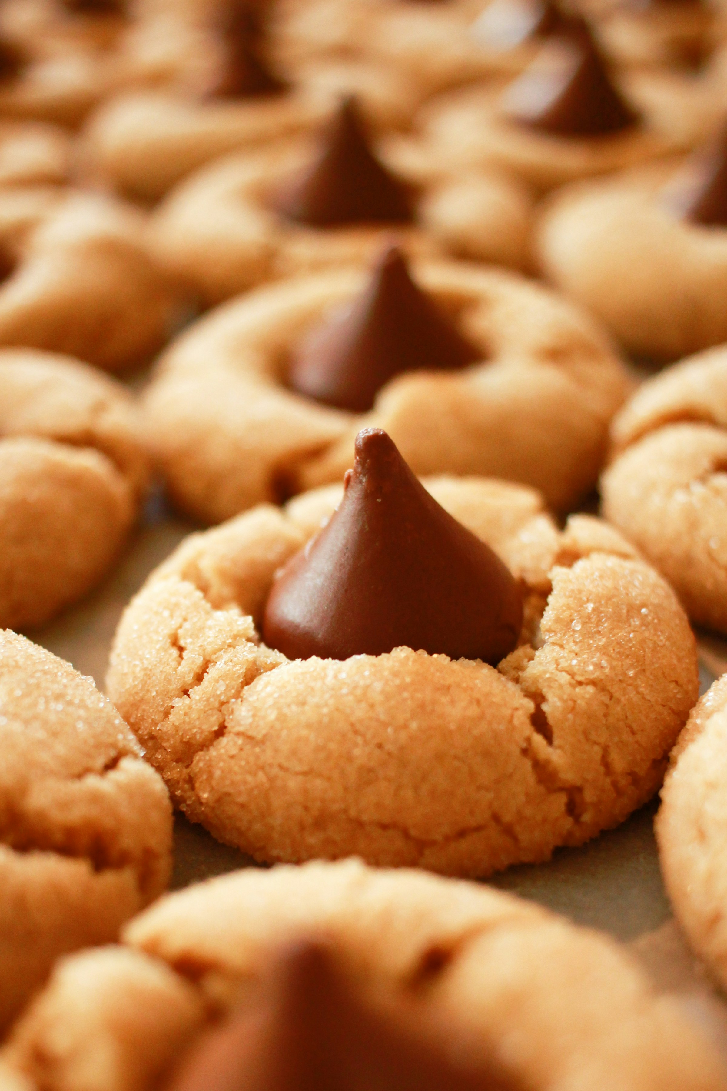 A close-up of cookies | Source: Unsplash