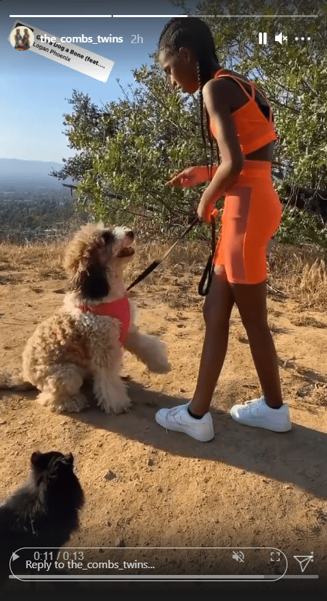 Diddy's beautiful twin daughters, Jessie and D'Lila Combs, and their dog on Instagram | Photo: Instagram.com/the_combs_twins