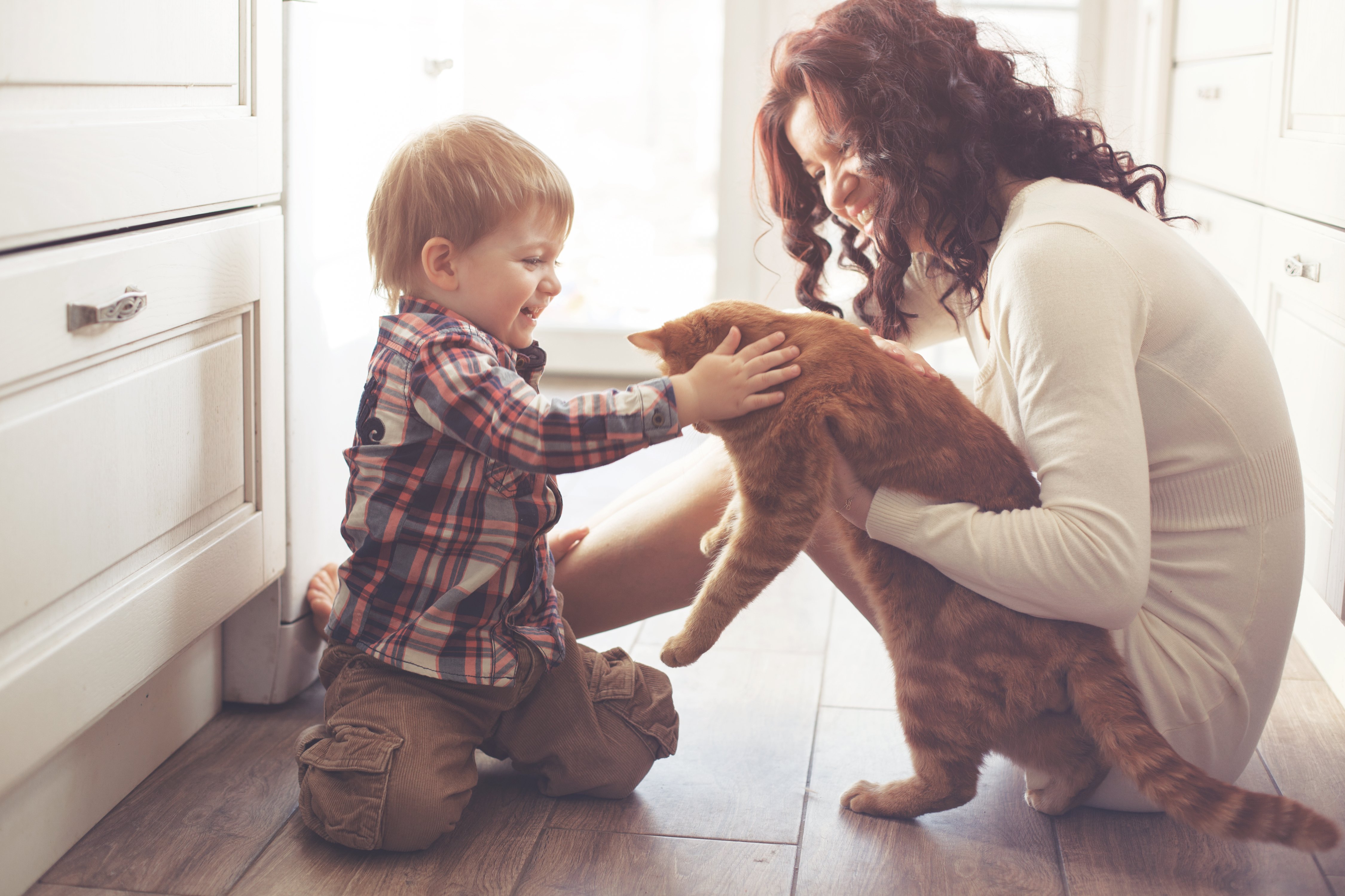 Madre jugando con su bebé y un gato en el piso de la cocina de su casa. | Foto: Shutterstock