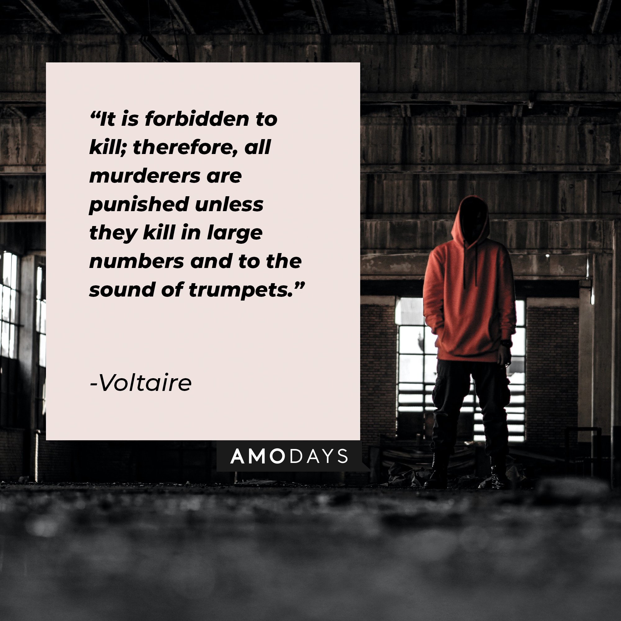 Voltaire’s quote: "It is forbidden to kill; therefore, all murderers are punished unless they kill in large numbers and to the sound of trumpets." | Image: AmoDays  