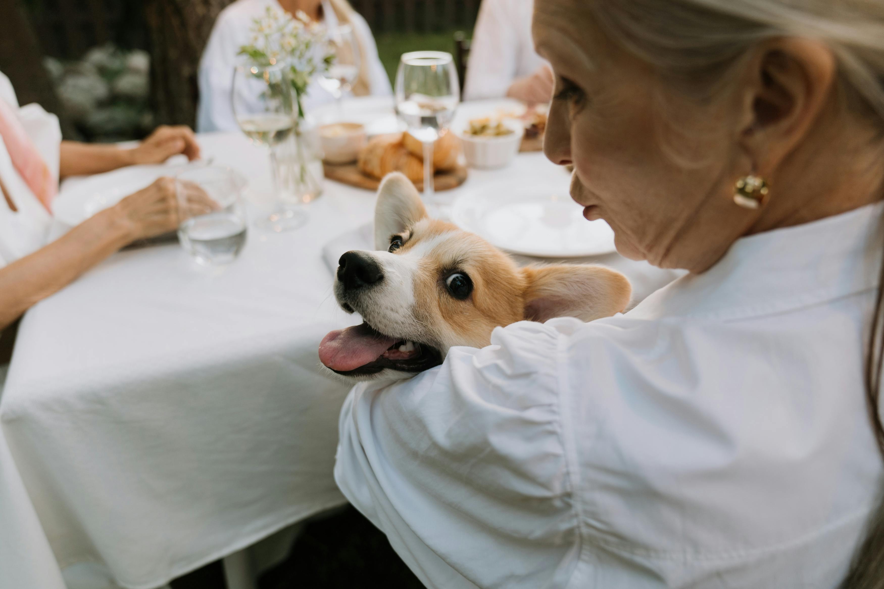A woman carrying her dog at a social function | Source: Pexels