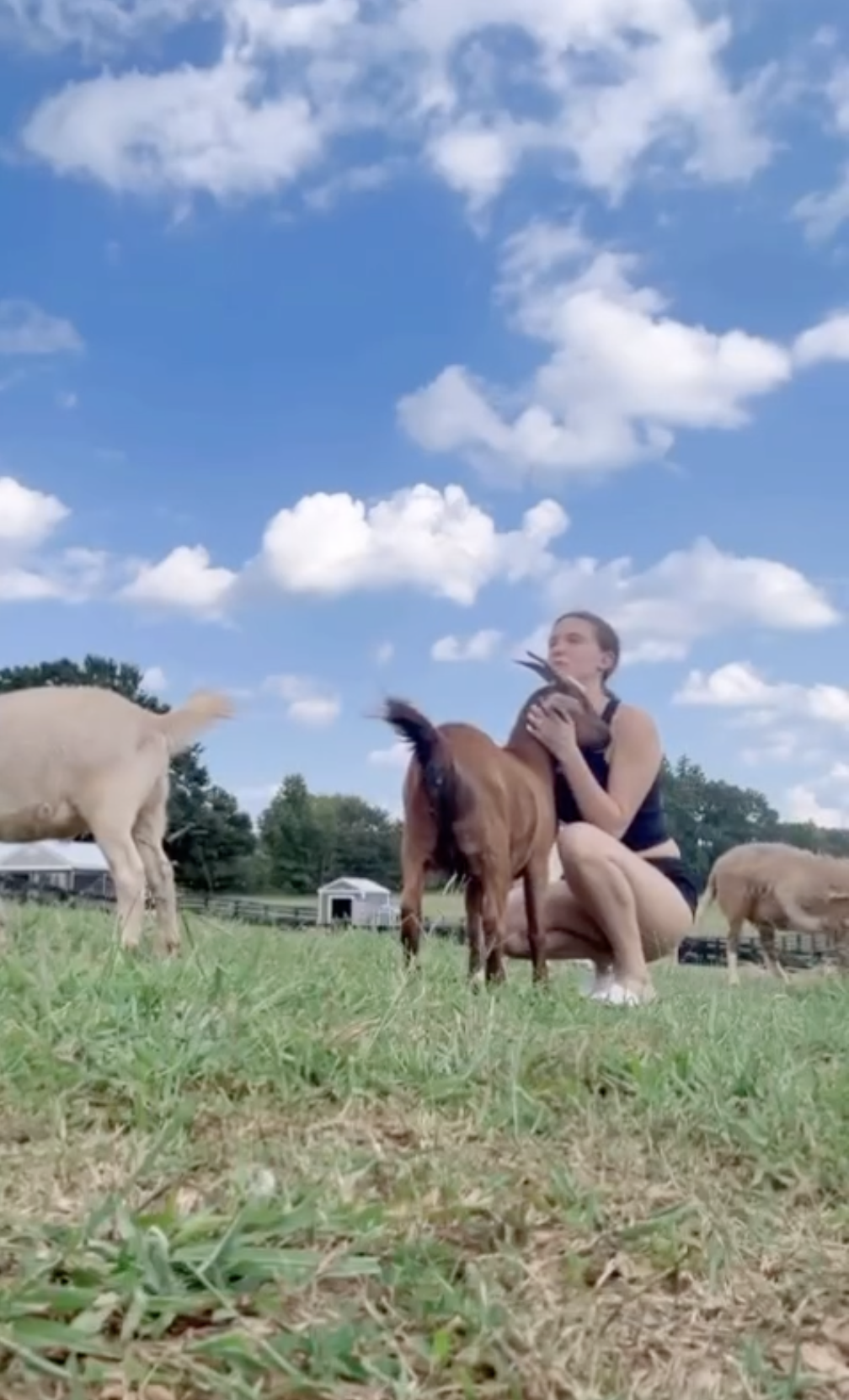 Millie Bobby Brown Bongiovi with her farm animals from a post dated August 16, 2024. | Source: Instagram/milliebobbybrown