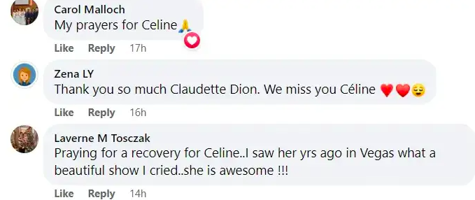 A screenshot of comments talking about Claudette Dion's health update concerning her sister posted on August 31, 2023 | Source: Facebook/Hello! Canada