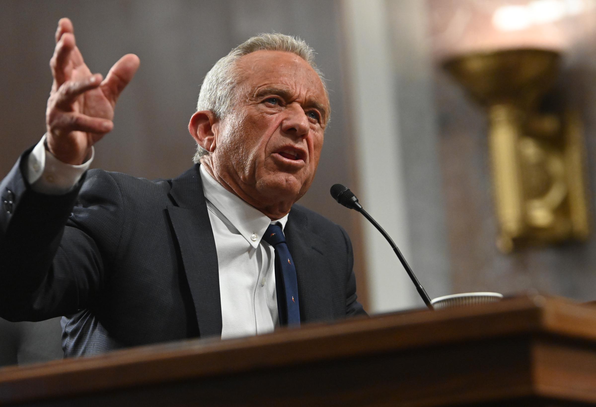 Robert F. Kennedy Jr. testifies during a Senate Finance Committee confirmation hearing at the Dirksen Senate Building on January 29, 2025 in Washington, DC | Source: Getty Images