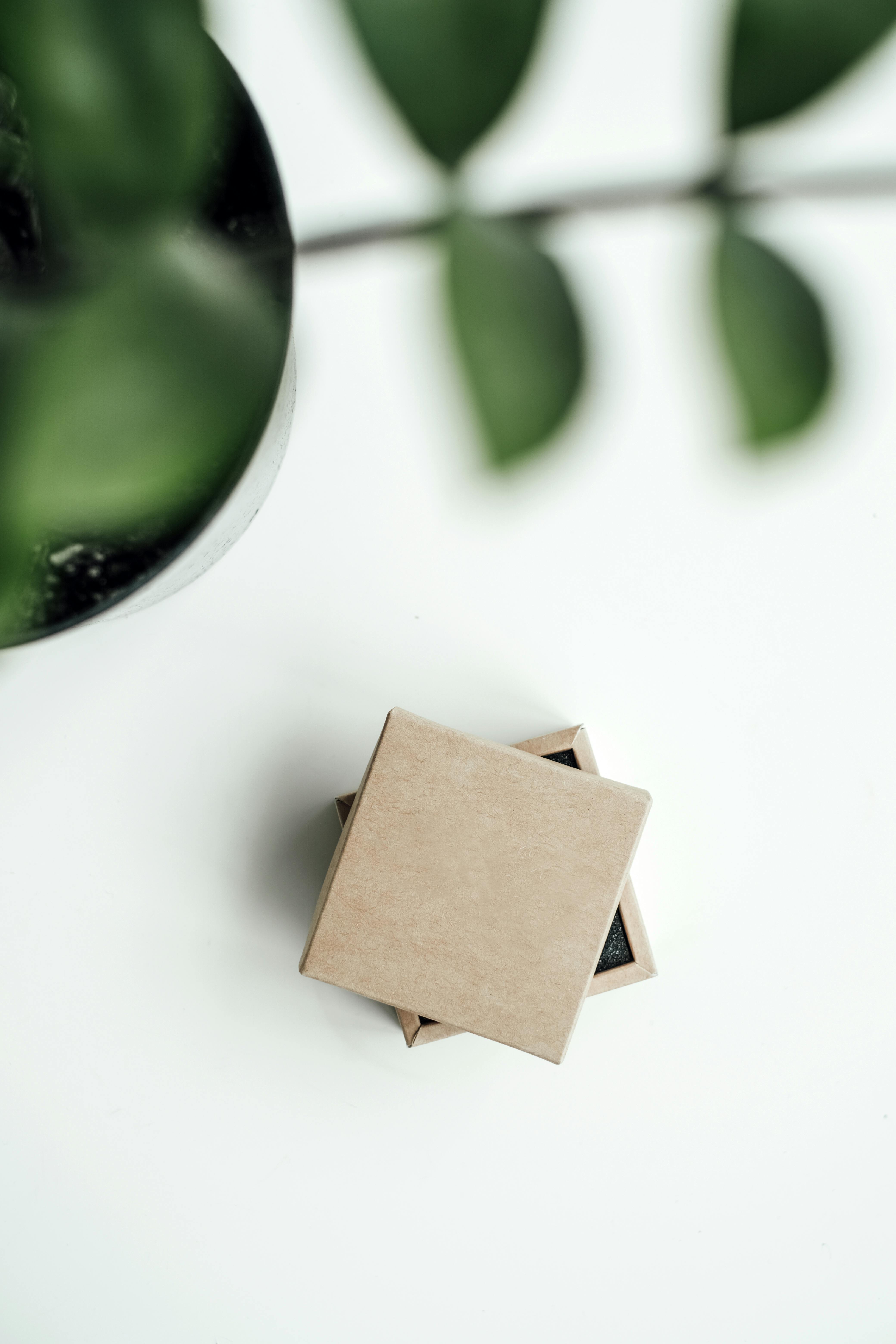 A small box with a lid | Source: Pexels