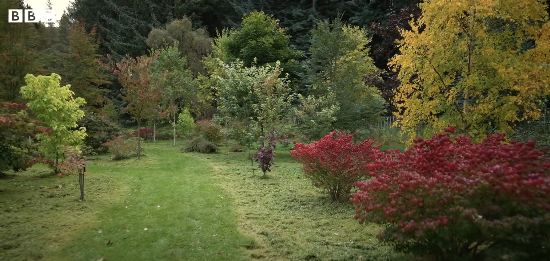 The garden in Balmoral Estate, dated 2022 | Source: YouTube/BBC News
