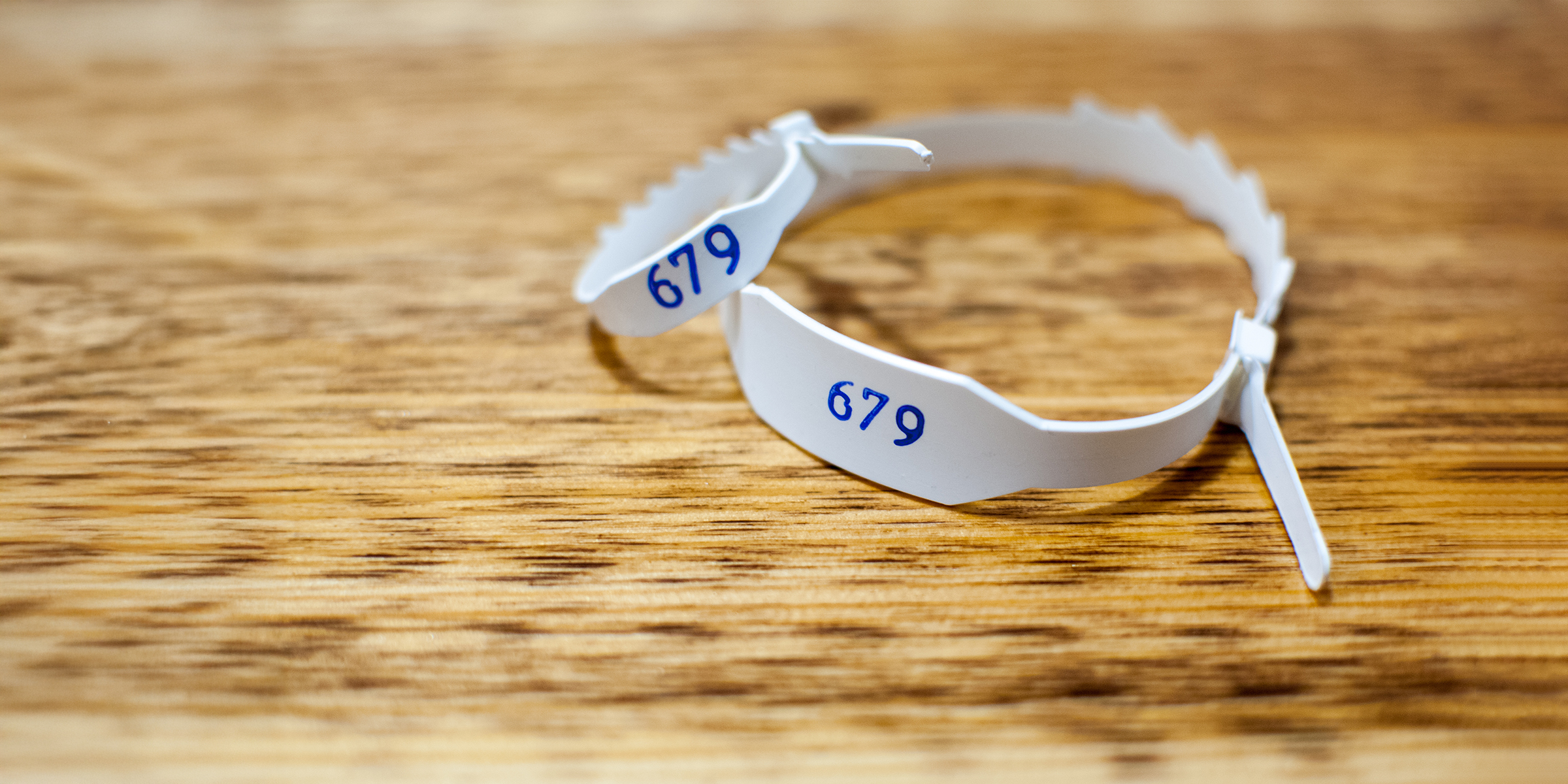 Birth bracelets | Source: Shutterstock