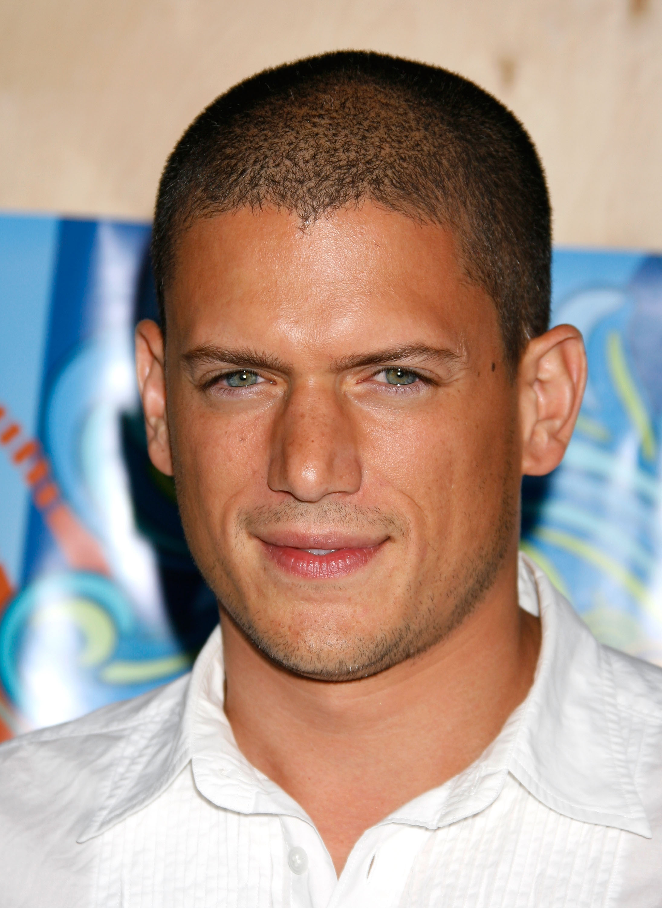 Wentworth Miller at the FOX TCA party on July 23, 2007, in Santa Monica, California.