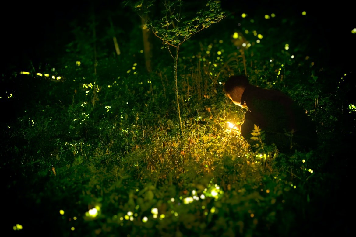 Joven en un jardín en horas de la noche. | Foto: Unsplash
