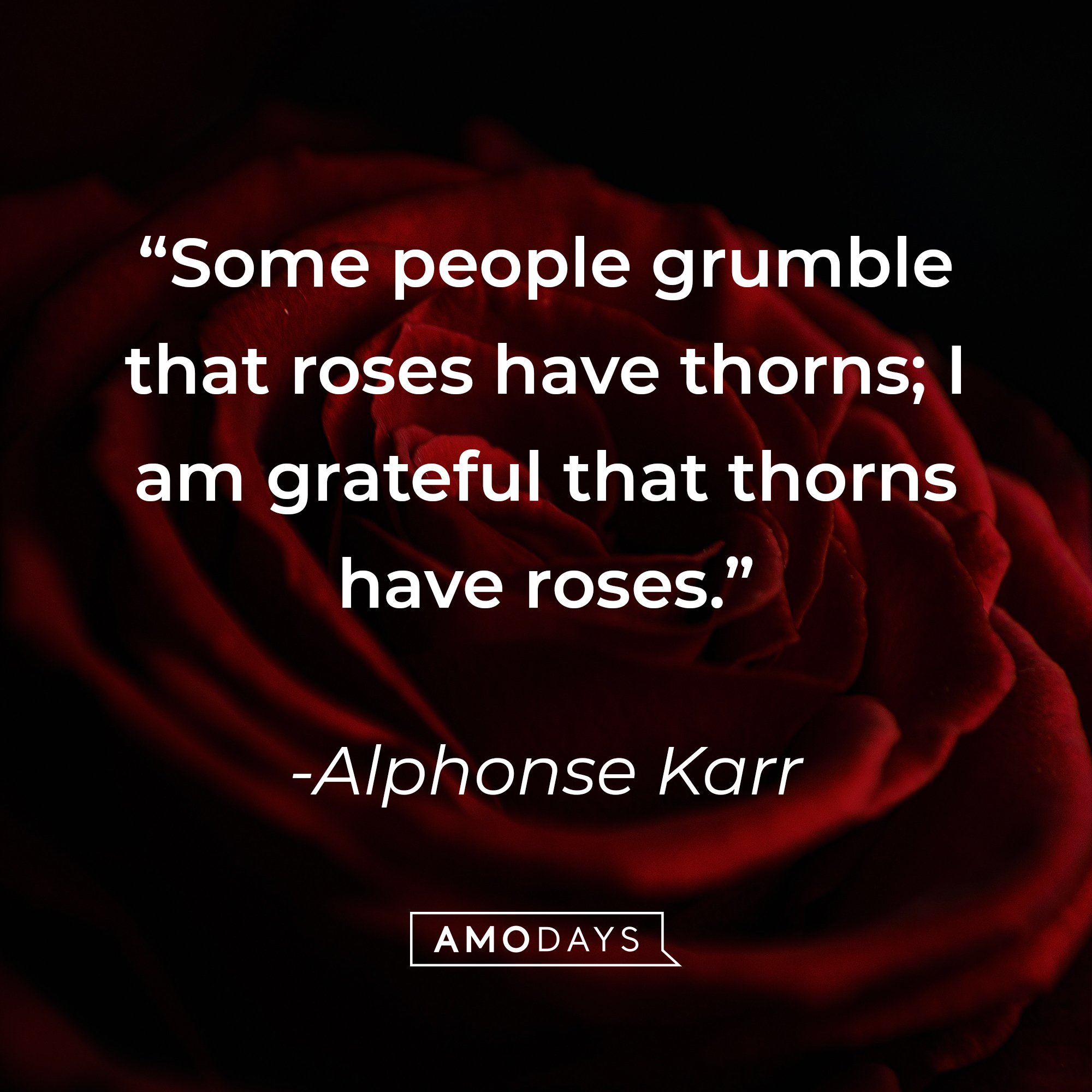 Alphonse Karr’s quote: “Some people grumble that roses have thorns; I am grateful that thorns have roses.” | Image: Amodays