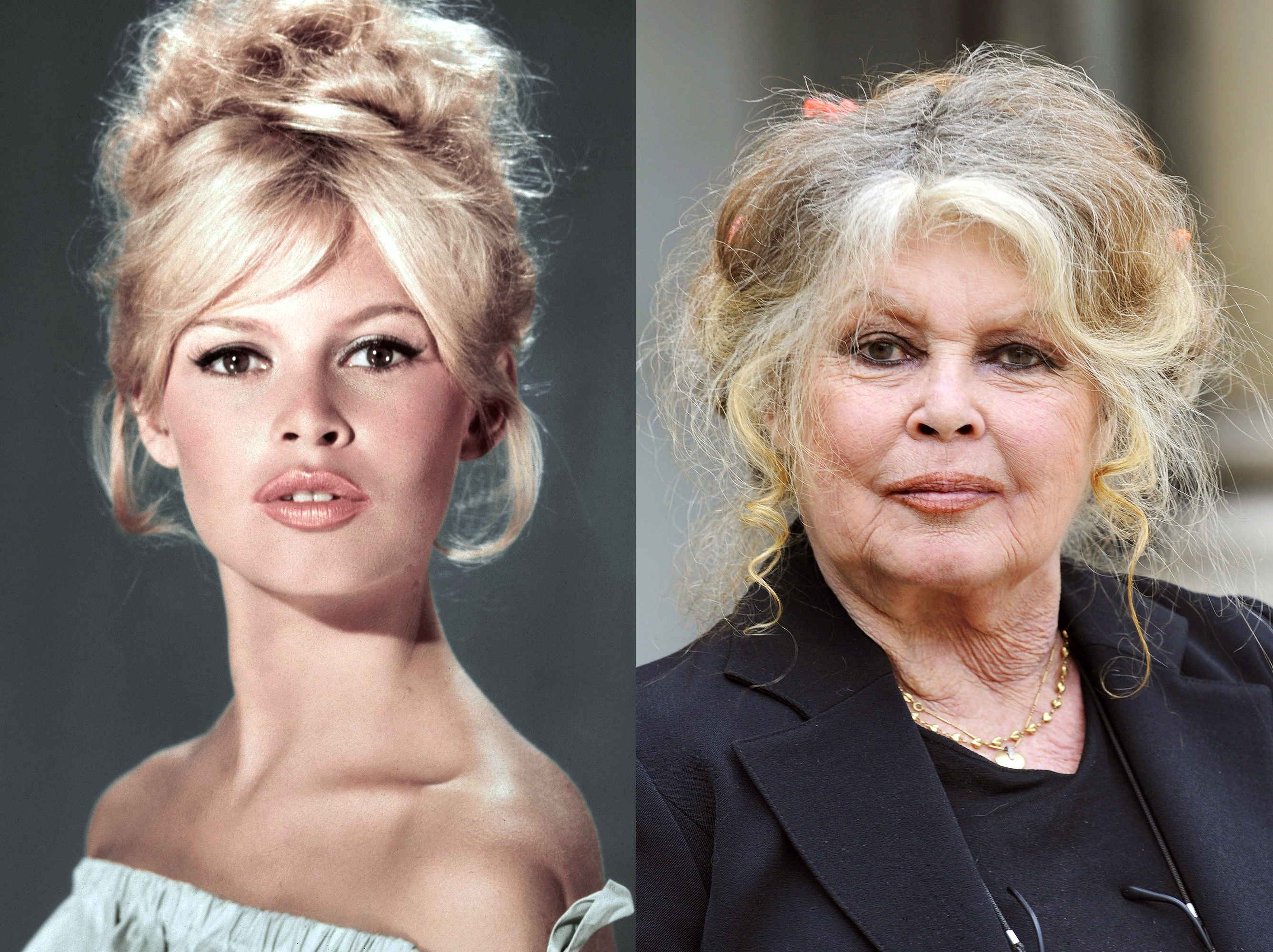 Brigitte Bardot, 1960 | Brigitte Bardot, 2007 | Source: Getty Images