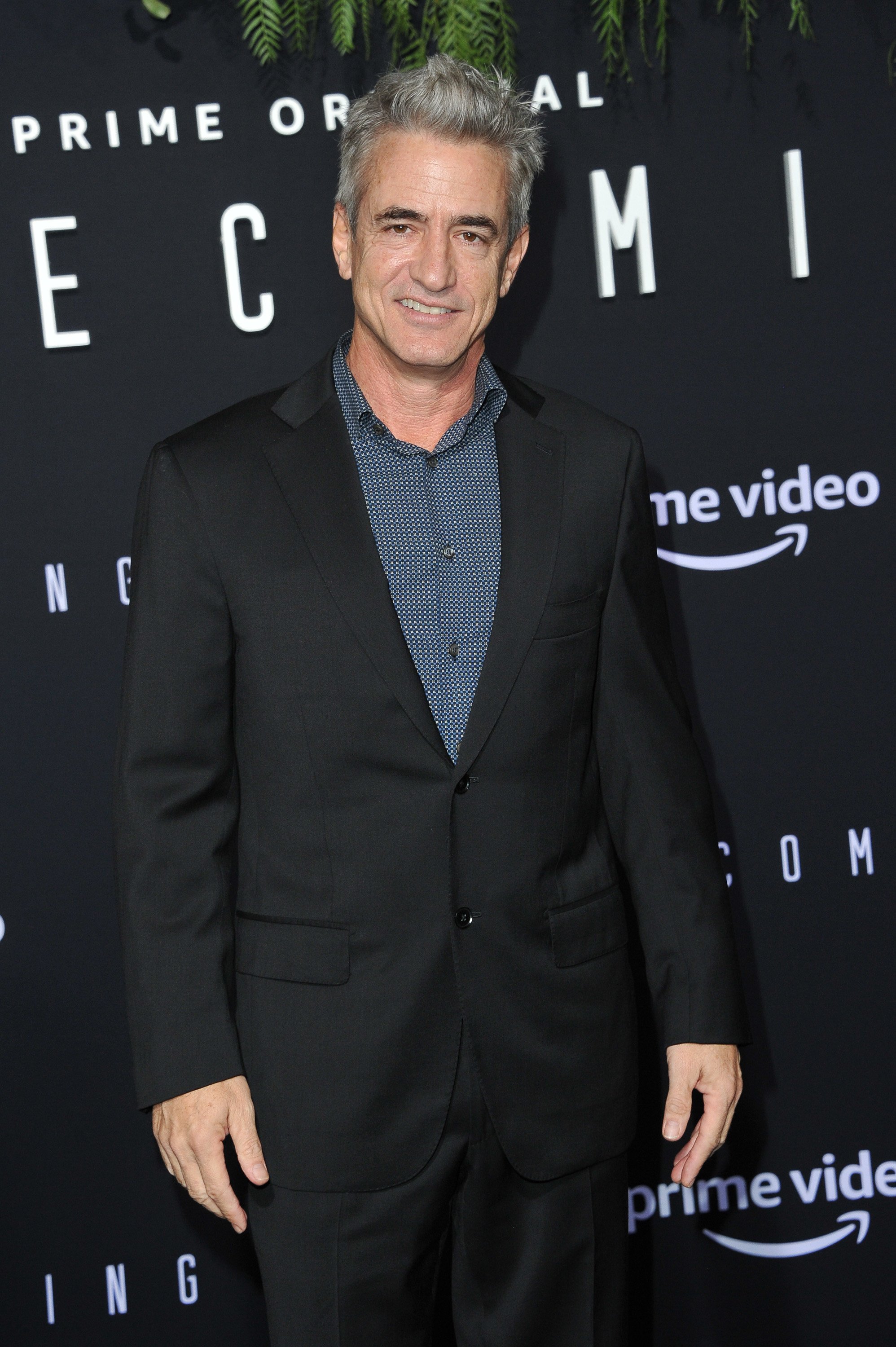 Actor Dermot Mulroney attends the premiere of Amazon Studios' "Homecoming" on October 24, 2018, in Los Angeles, California. | Source: Getty Images