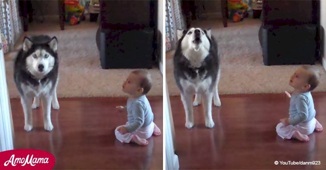 Baby and her husky go viral thanks to their angelic duet