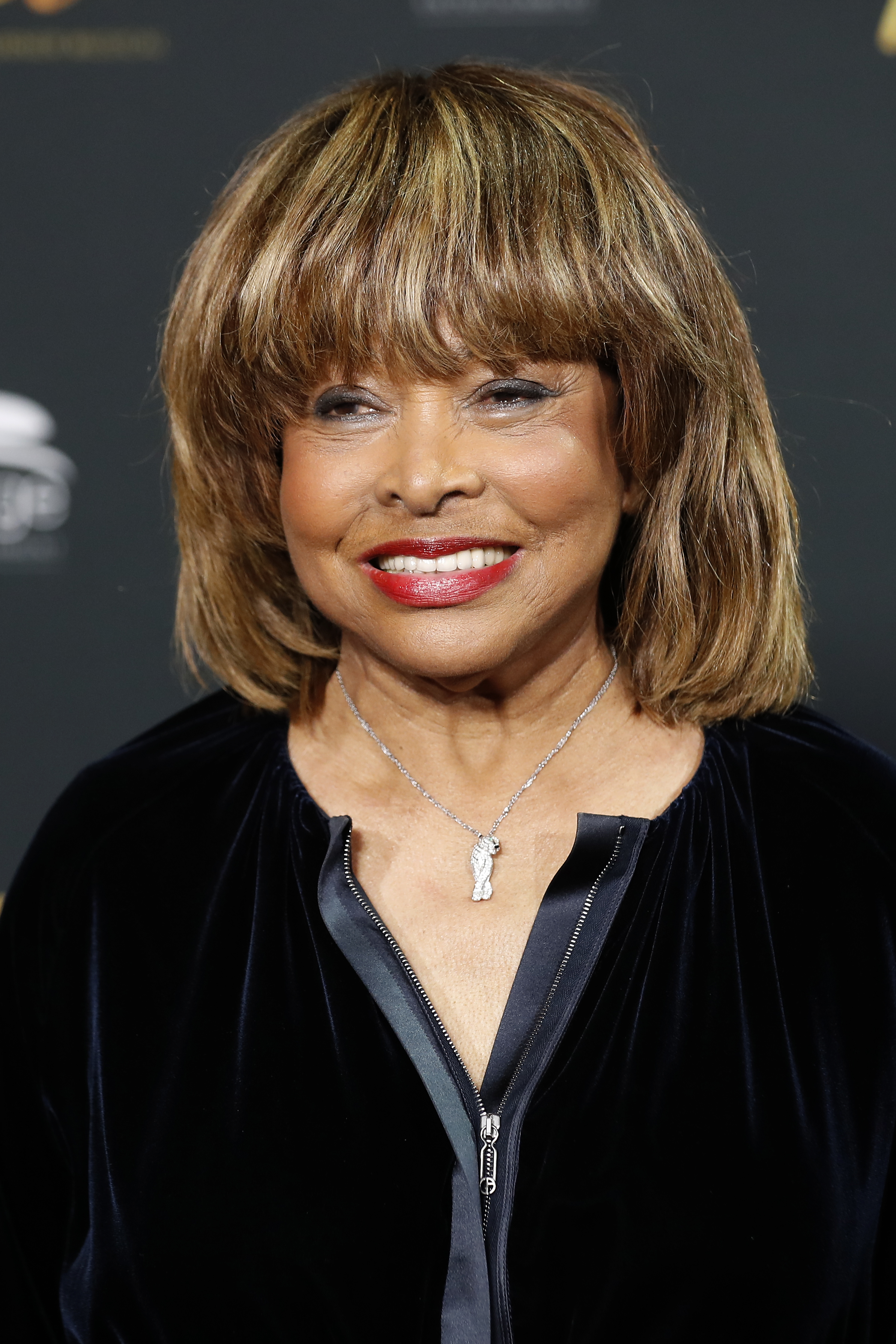 Tina Turner in Hamburg, German in 2018 | Source: Getty Images