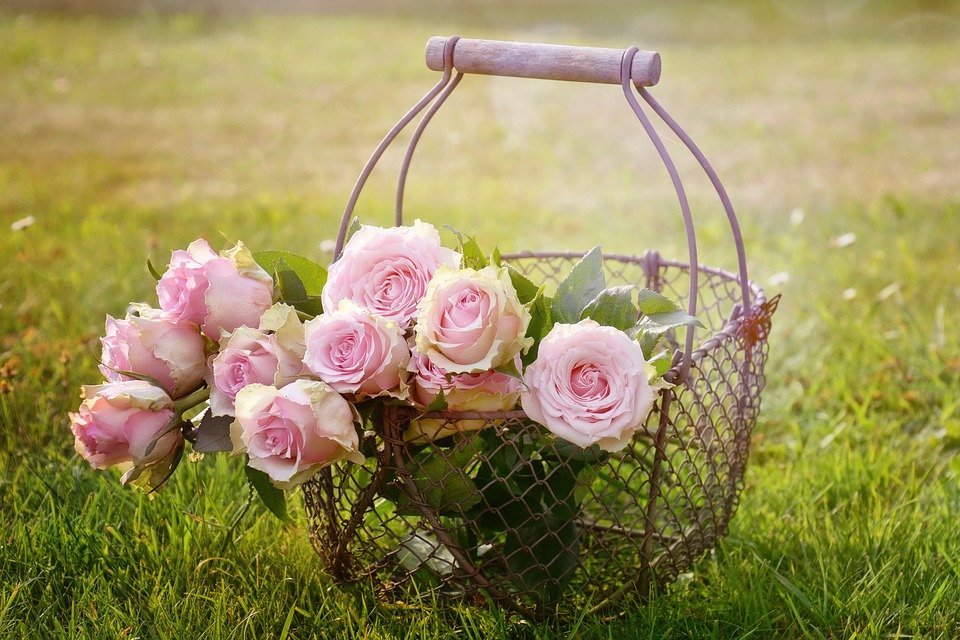 Source : Shutterstock