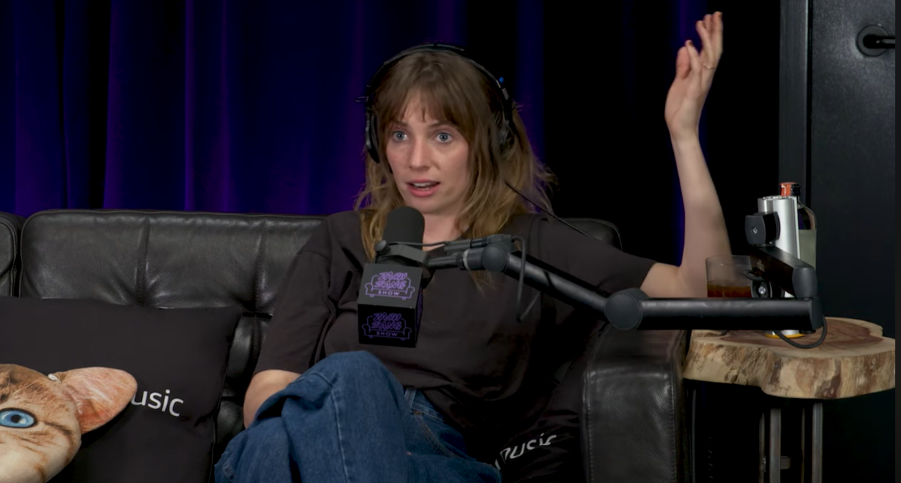 Maya Hawke speaks during an interview on the "Zach Sang Show." | Source: YouTube/zachsangshow