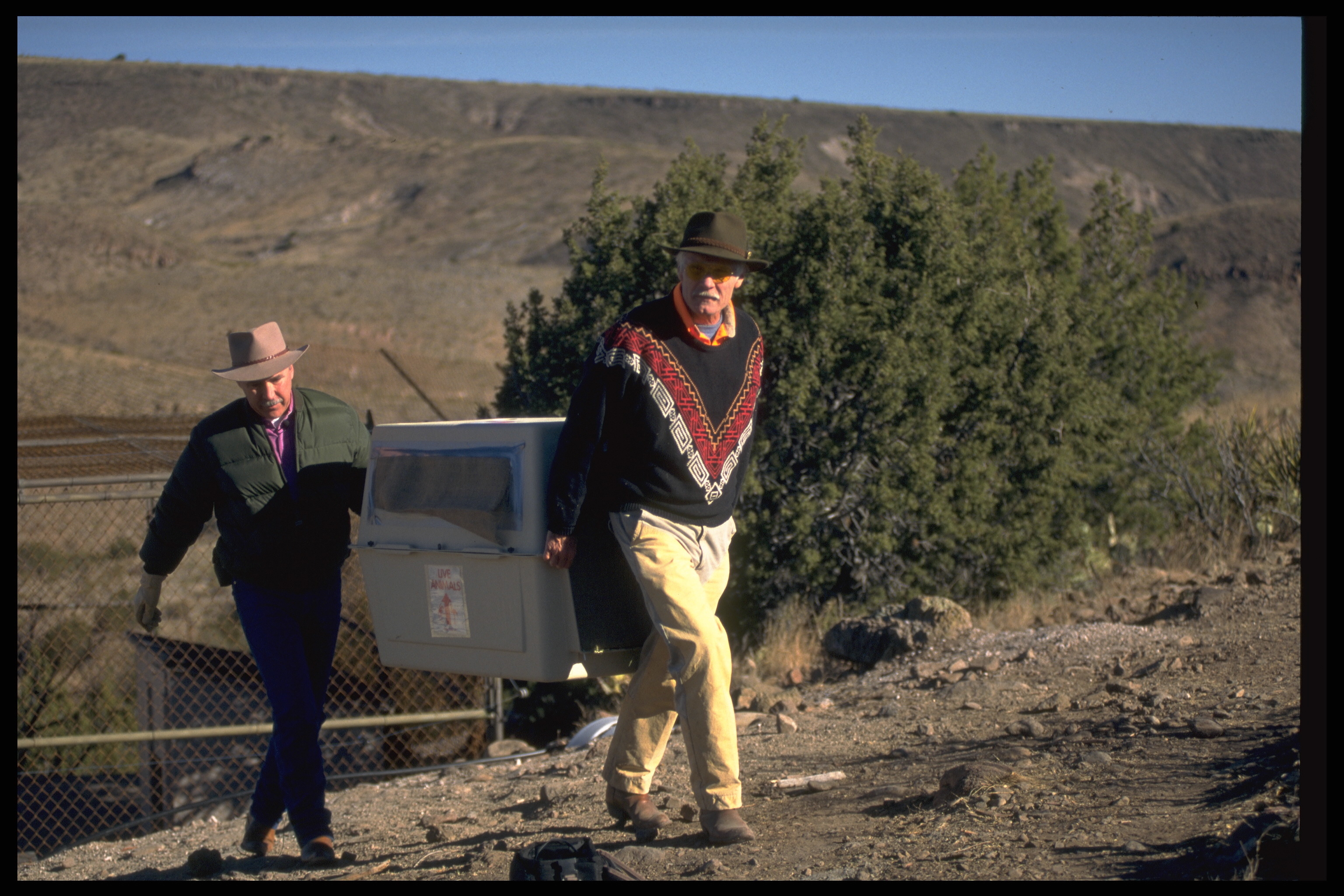 Ted Turner helps a biologist release a couple of wolves on his Ladder Ranch property in 1998 | Source: Getty Images