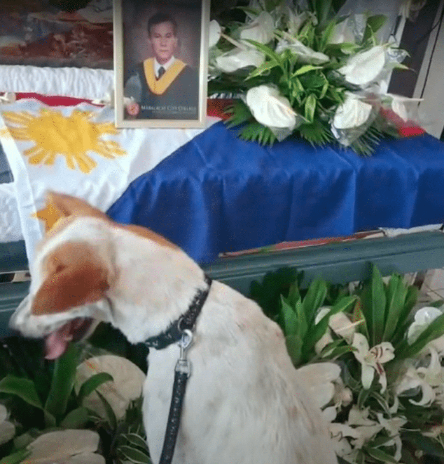 Dog sits in front of his human friend's coffin | Source: Youtube/CALMA Vlogs