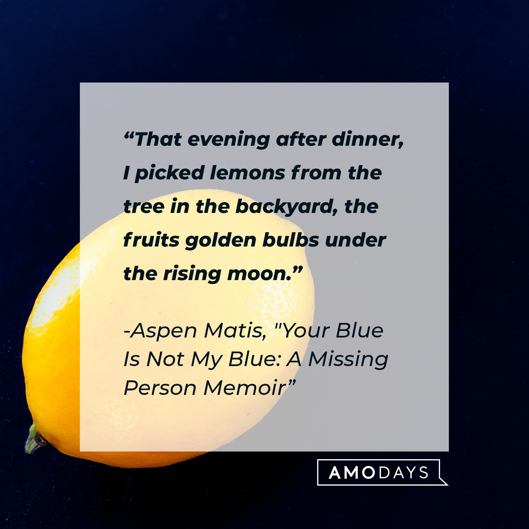 Aspen Matis’ quote from "Your Blue Is Not My Blue: A Missing Person Memoir”:"That evening after dinner, I picked lemons from the tree in the backyard, the fruits golden bulbs under the rising moon." | Image: AmoDays 