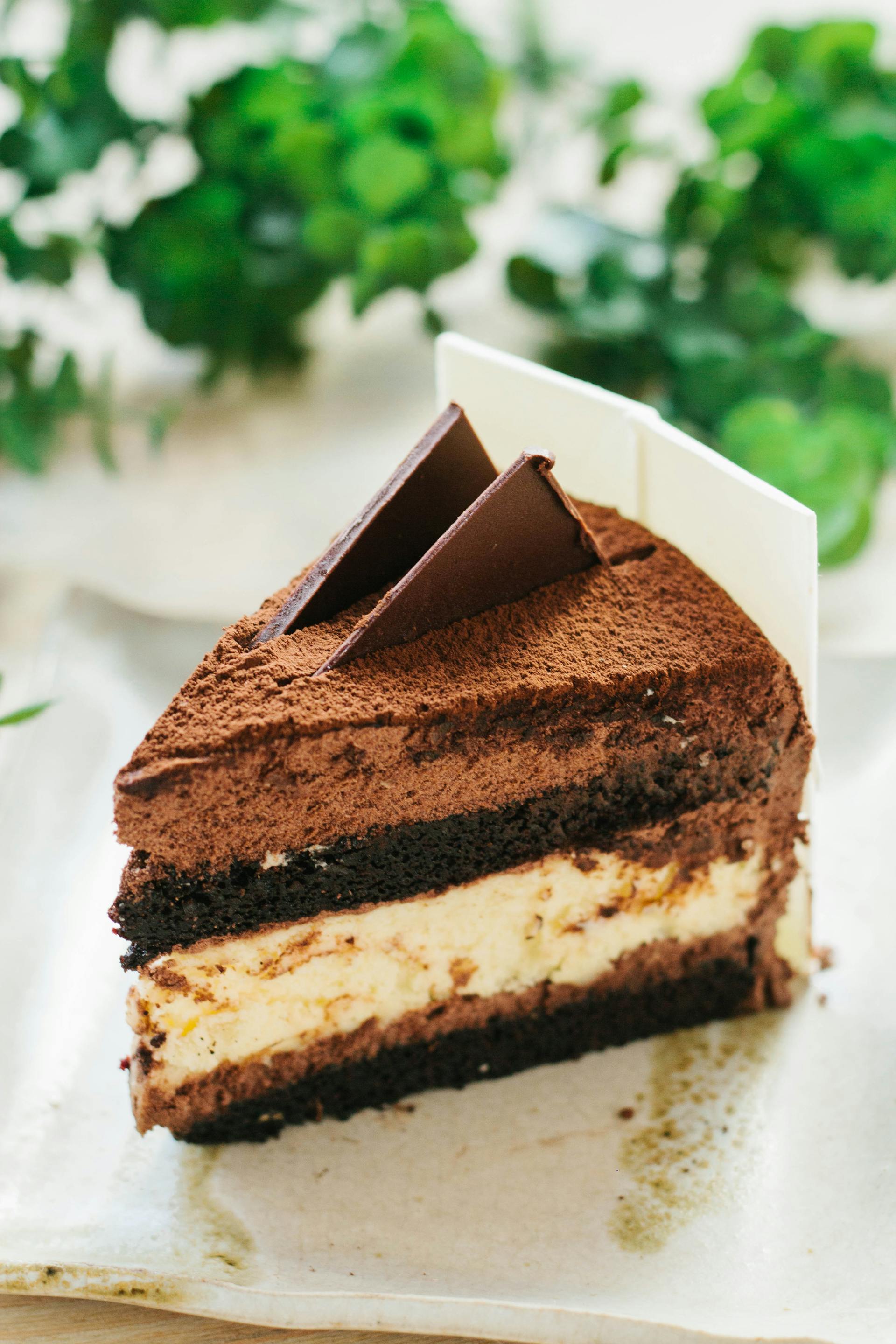 A closeup of a cake slice lying on a kitchen counter | Source: Midjourney