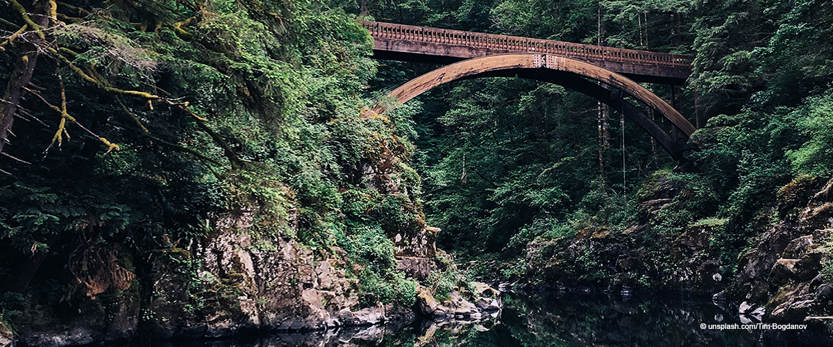 Teenage Girl Who Pushed Her Friend off a 60-Foot Bridge Was Sentenced to 2 Days in Jail