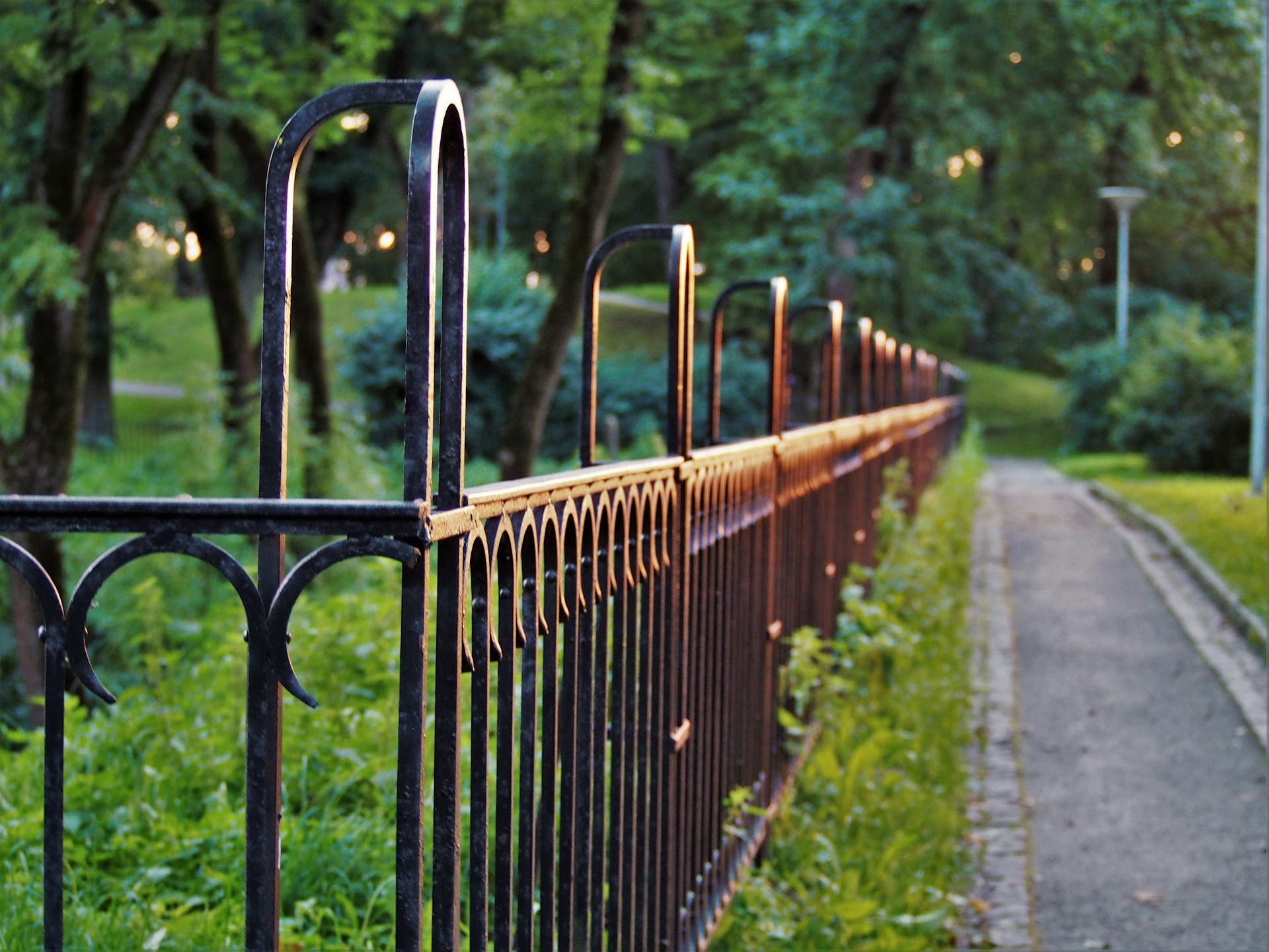 Metal fence in a park | Source: Pexels