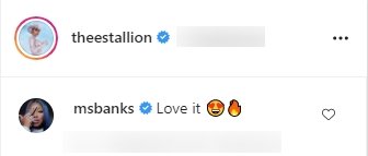 A fan's comment on Megan Thee Stallion's post on her Instagram page | Photo: instagram.com/theestallion