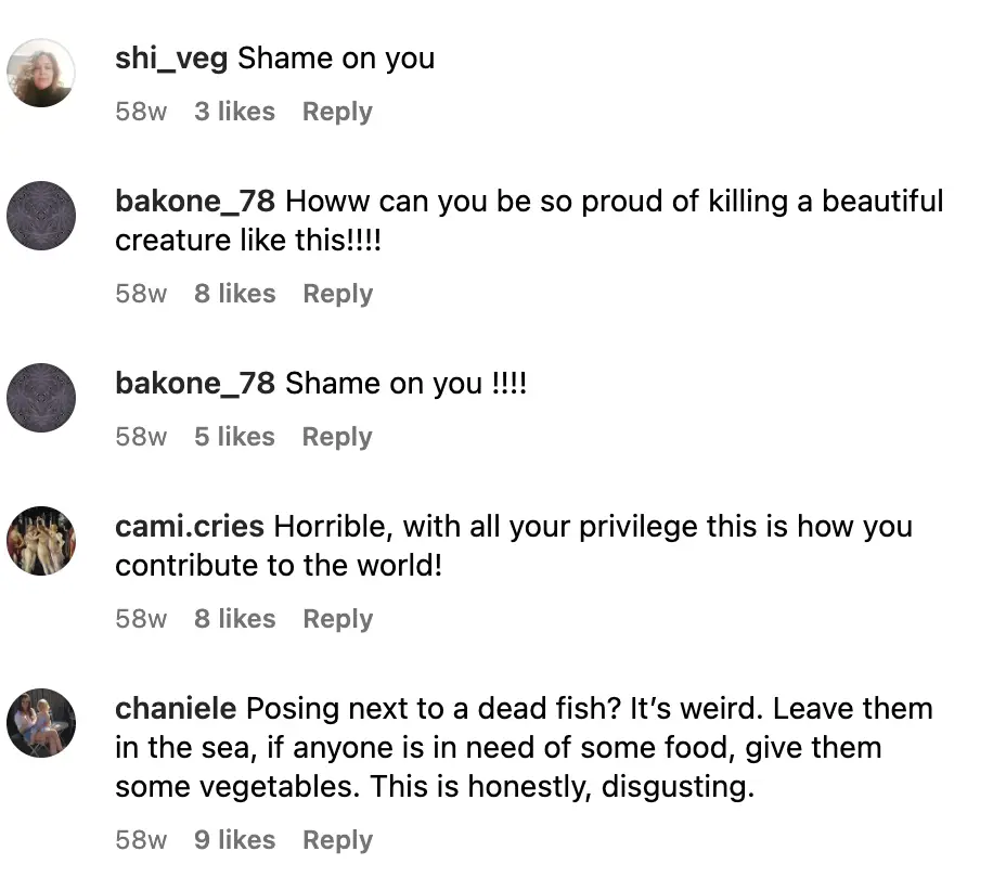 Comments about Connor Cruise | Source: Instagram.com/theconnorcruise