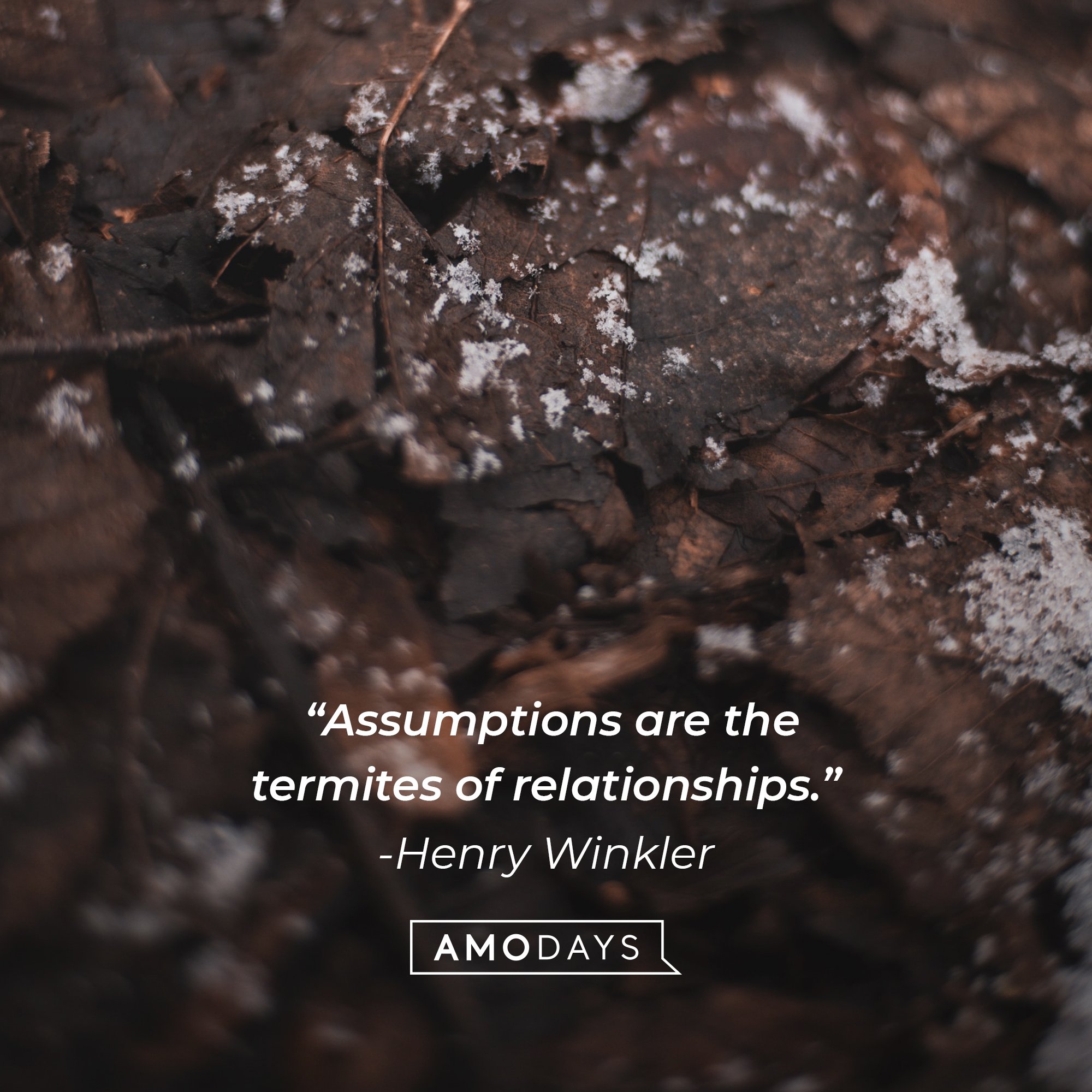   Henry Winkler's quote: “Assumptions are the termites of relationships.” | Image: AmoDays
