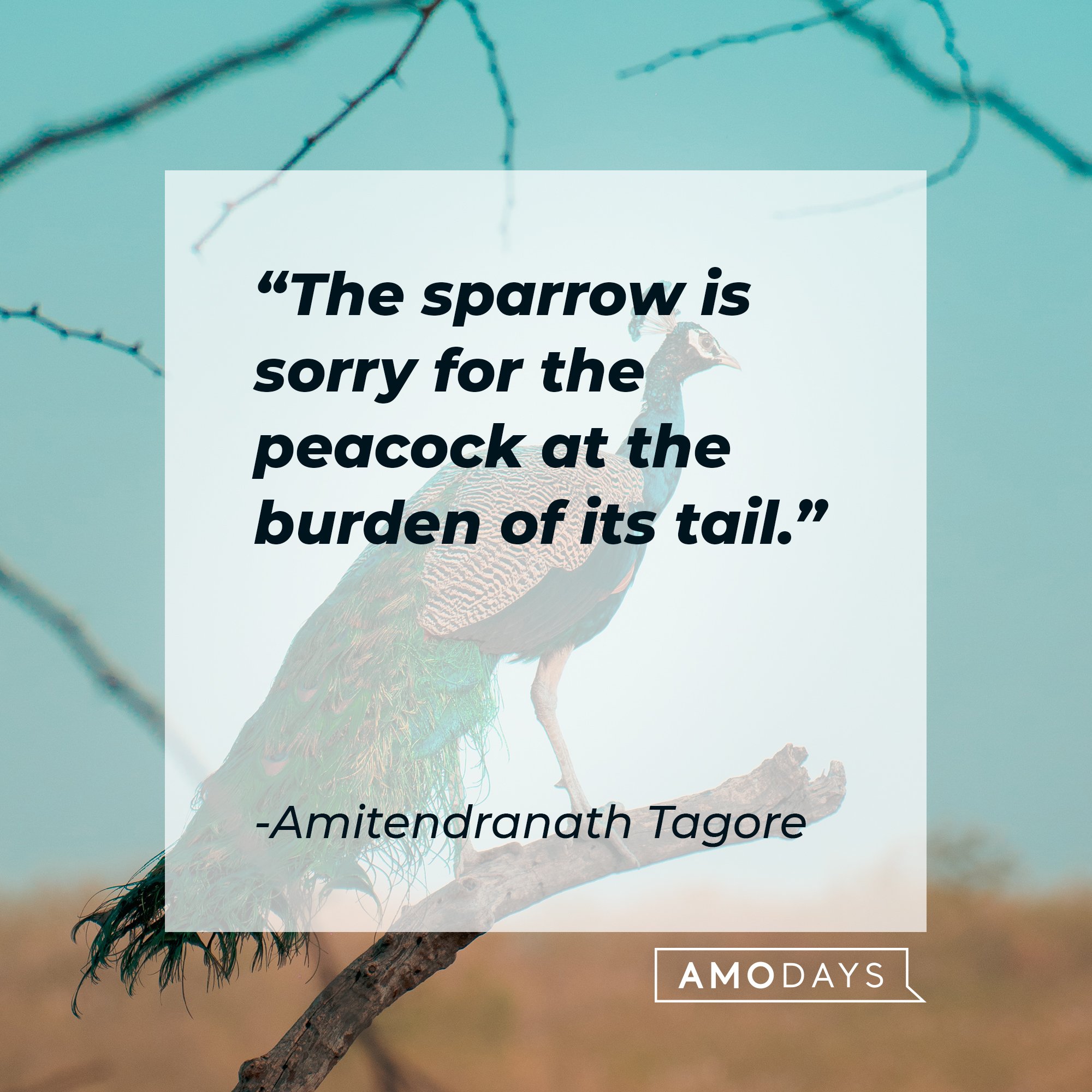 Amitendranath Tagore’s "The sparrow is sorry for the peacock at the burden of its tail." | Image: AmoDays