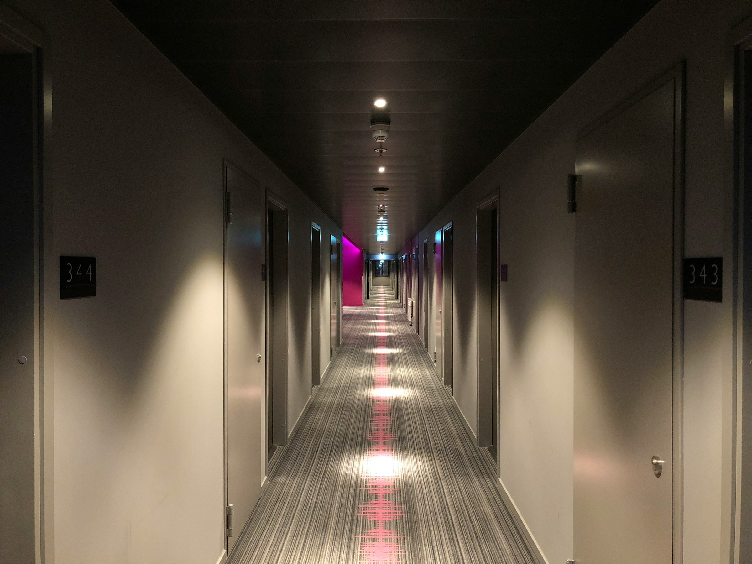 A hotel corridor | Source: Unsplash