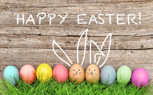 Easter eggs and cute bunny in green grass. | Source: Shutterstock