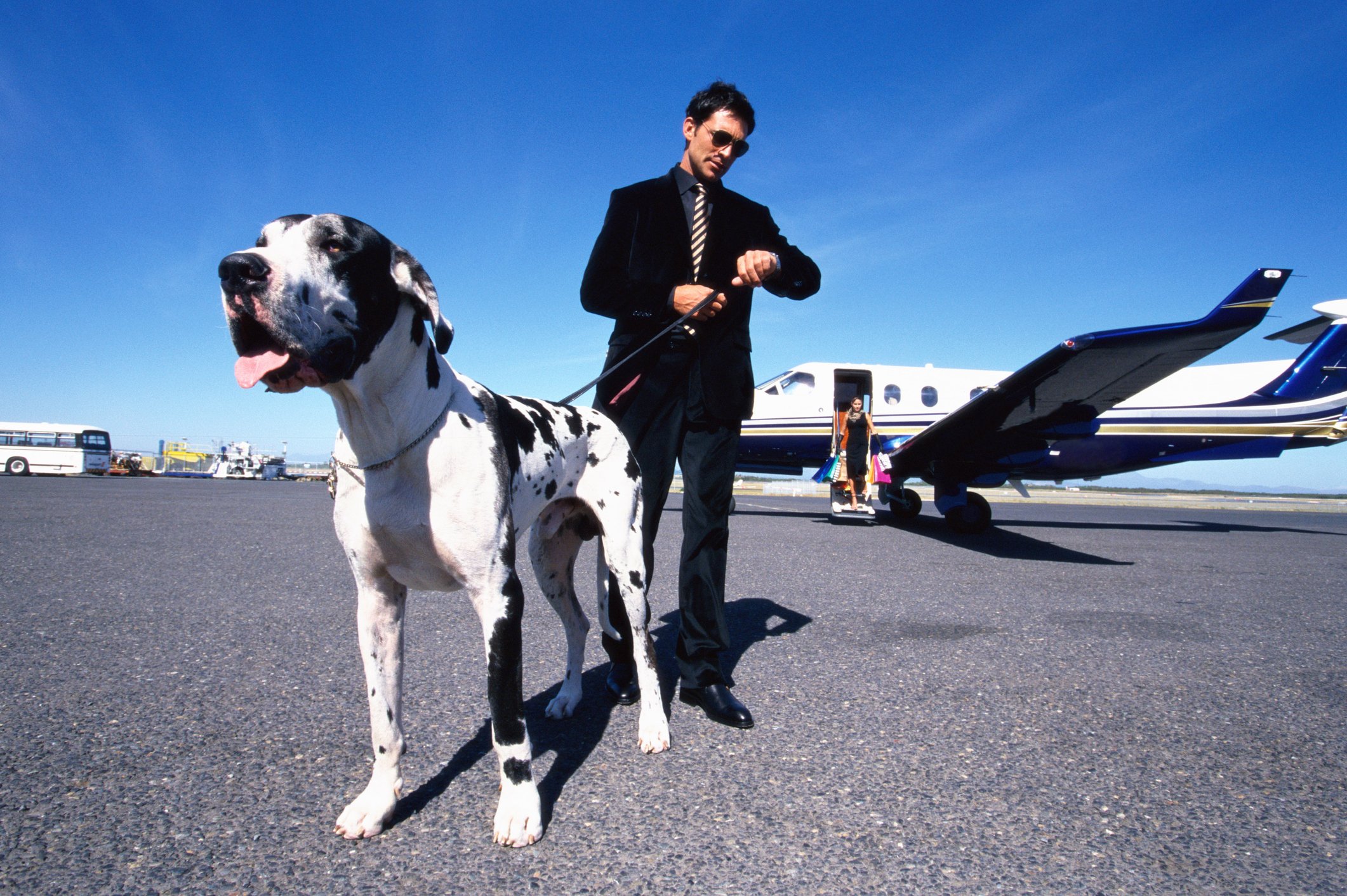 Man in black suit holding his dog after alighting a plane. | Photo: Getty Images