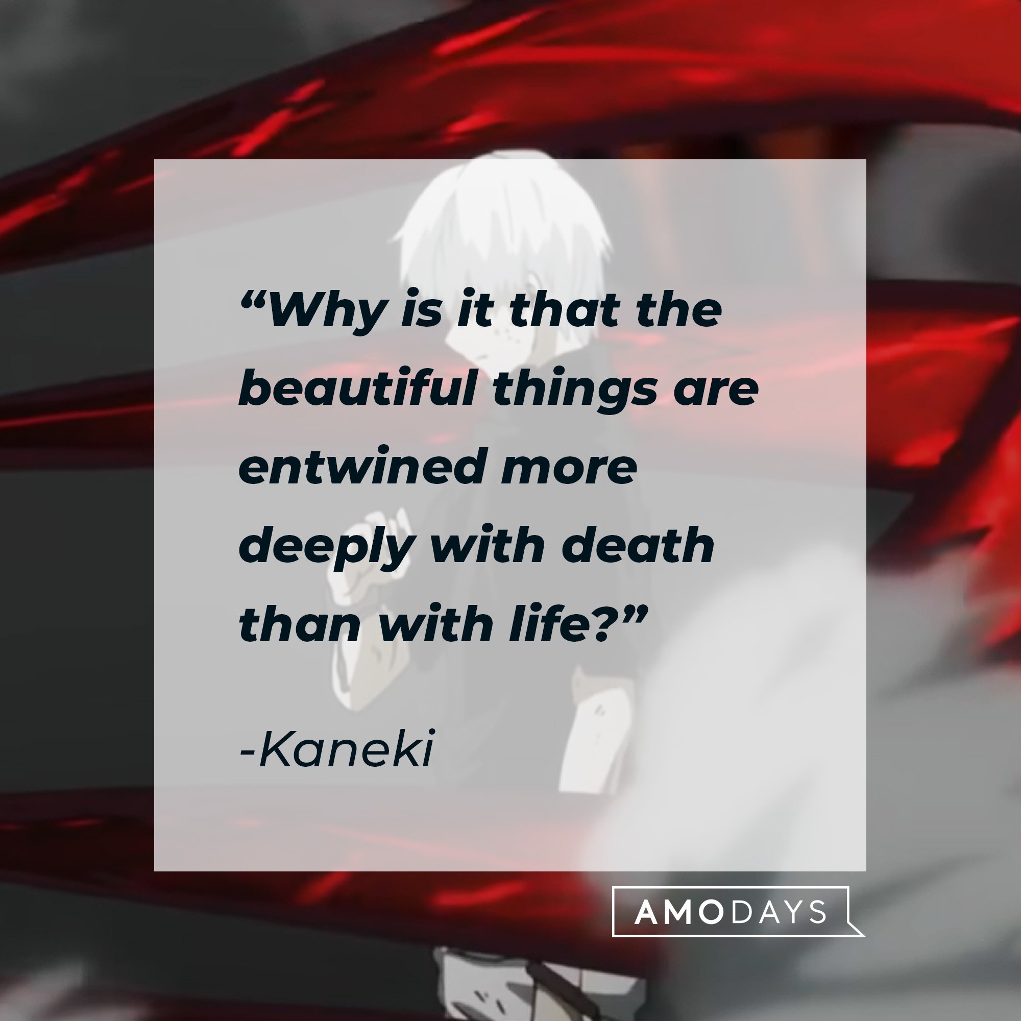 Kaneki's quote: "Why is it that the beautiful things are entwined more deeply with death than with life?" | Image: AmoDays