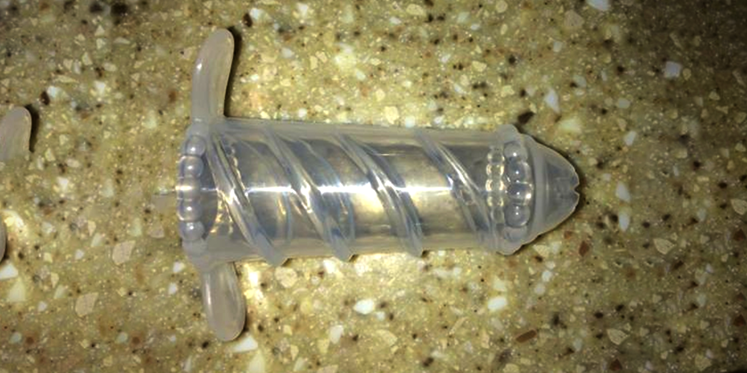 A strange plastic-looking object | Source: Twitter.com/householderj
