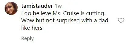 A screenshot of an Instagram comment from a fan as Suri Cruise appeared to have scratches on her wrist. | Source: instagram.com/@suricruise_sc