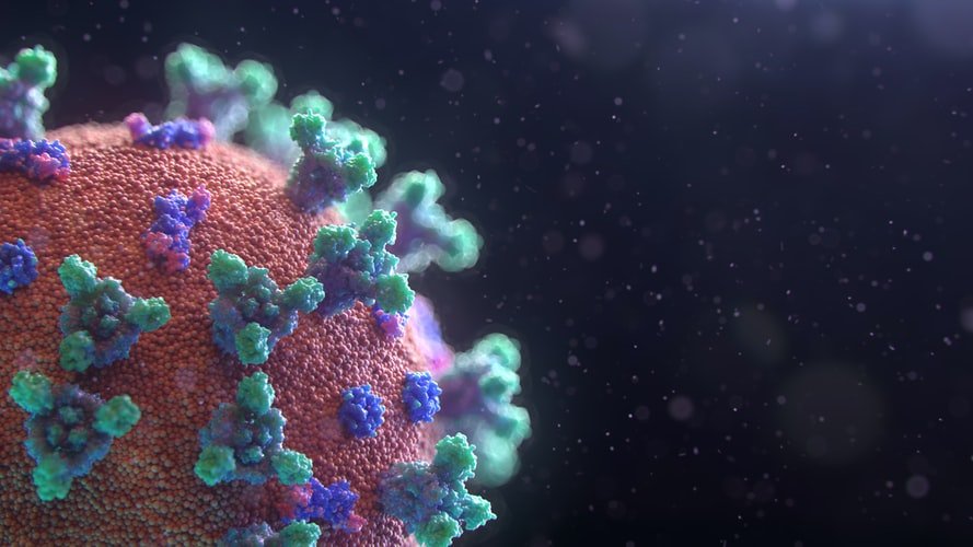 Le coronavirus. | Photo : Unsplash Le coronavirus. | Photo : Unsplash