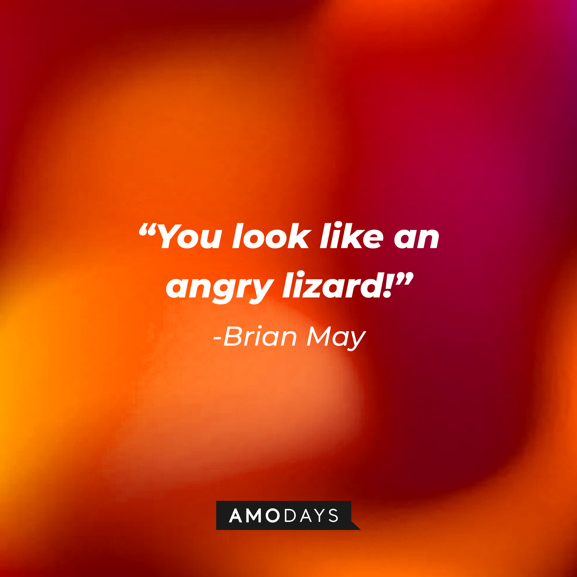 Brian May with his quote: "You look like an angry lizard." | Source: Amodays