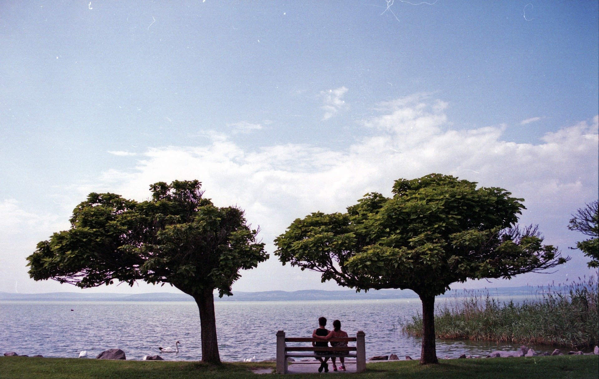 A couple sitting on a bench and looking out into the ocean | Source: Pixabay