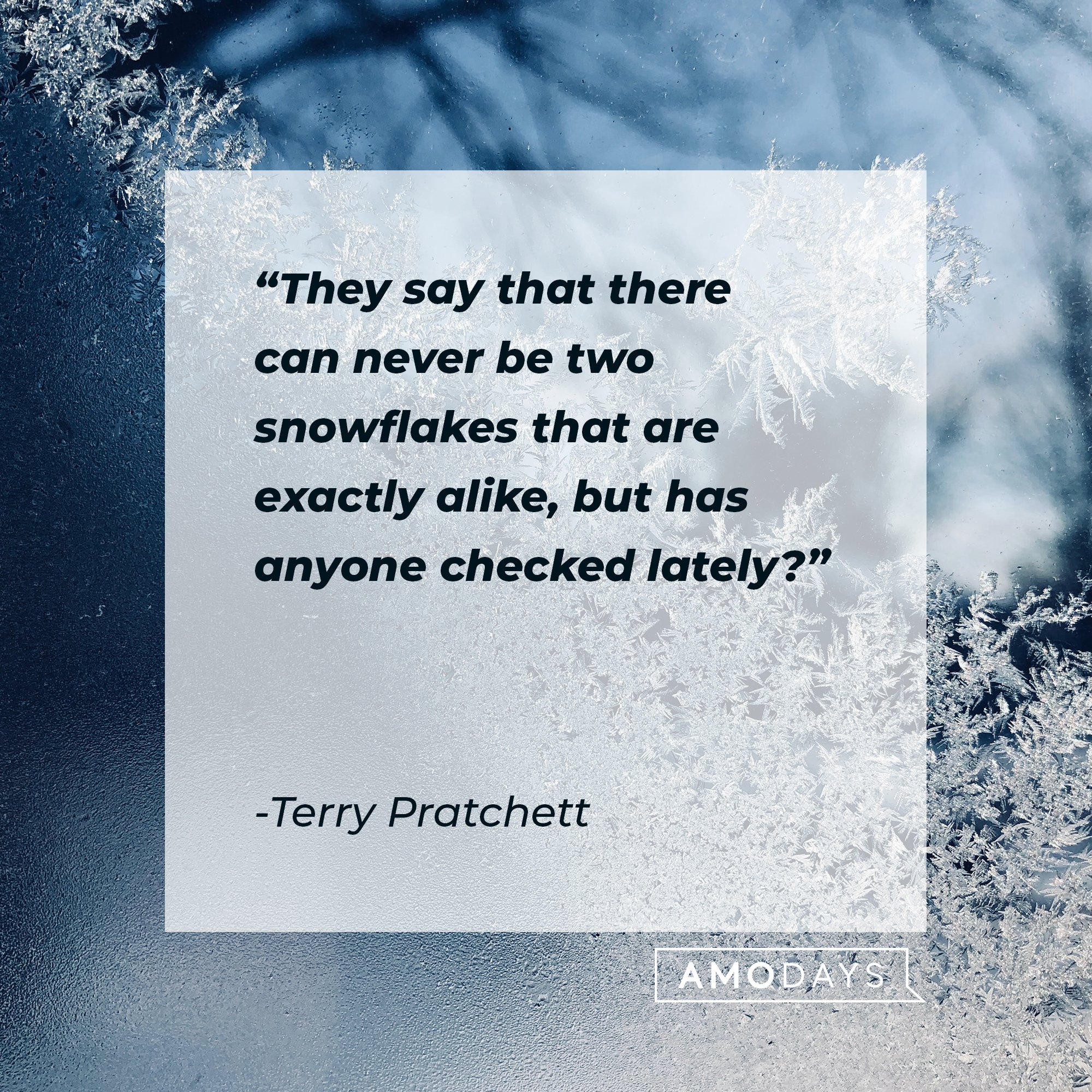  Terry Pratchett’s quote: "They say that there can never be two snowflakes that are exactly alike, but has anyone checked lately?" | Image: AmoDays