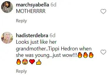 A screenshot of two comments talking about Dakota Johnson posted on August 29, 2023 | Source: Instagram/teatime.pictures