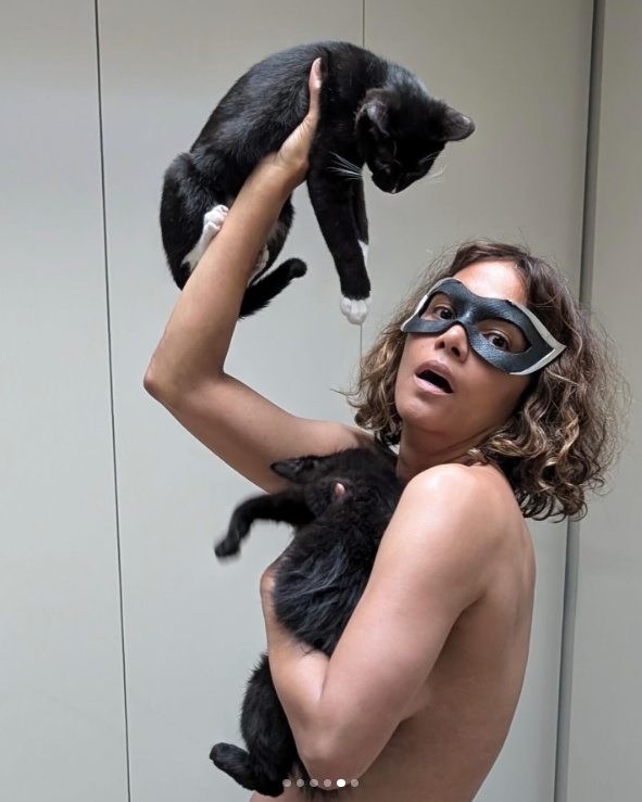 Halle Berry wears a black-and-white mask and poses with her two cats to mark the 20th anniversary of "Catwoman," posted in July 2024 | Source: Instagram/halleberry