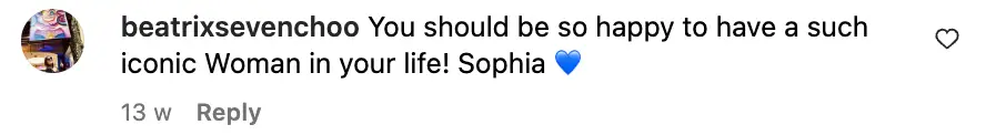 A fan comments on Sasha Alexander's Instagram post featuring Sophia Loren | Source: Instagram/sashaalexander