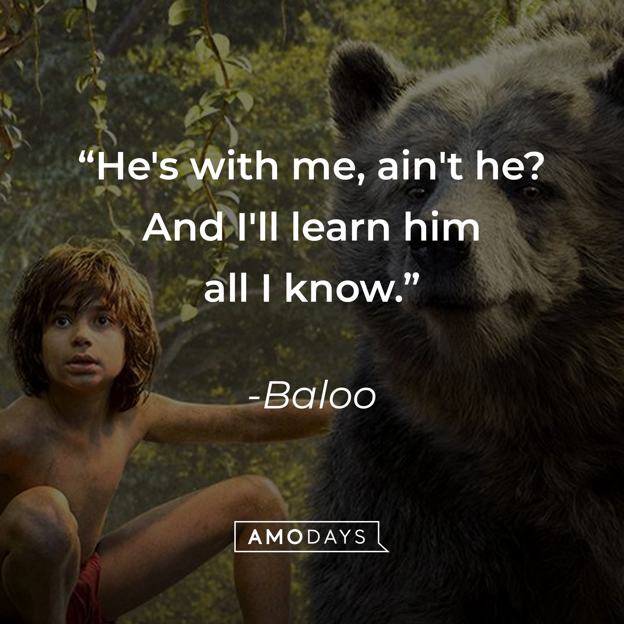 Baloo's quote: "He's with me, ain't he? And I'll learn him all I know." | Source: facebook.com/DisneyJungleBook
