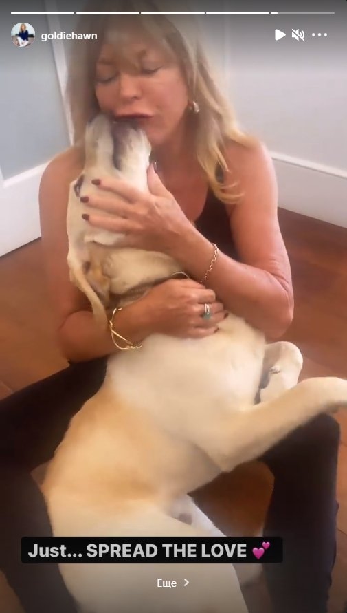 Goldie Hawn cradling her pet dogs on her Instagram story | Photo: Instagram / goldiehawn