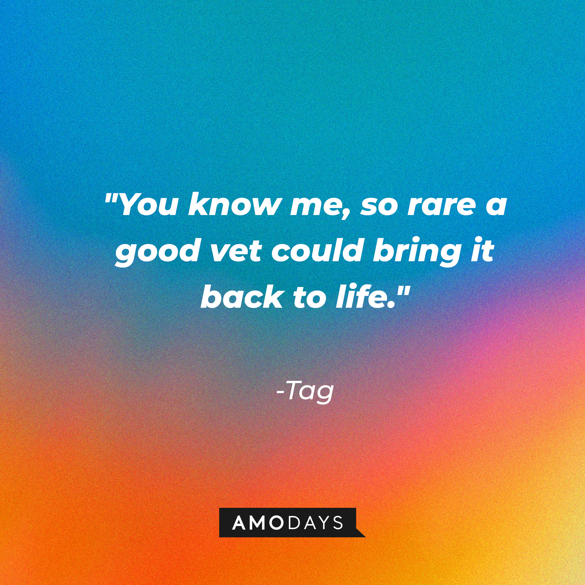 Tag's quote: "You know me, so rare a good vet could bring it back to life." | Source: AmoDays