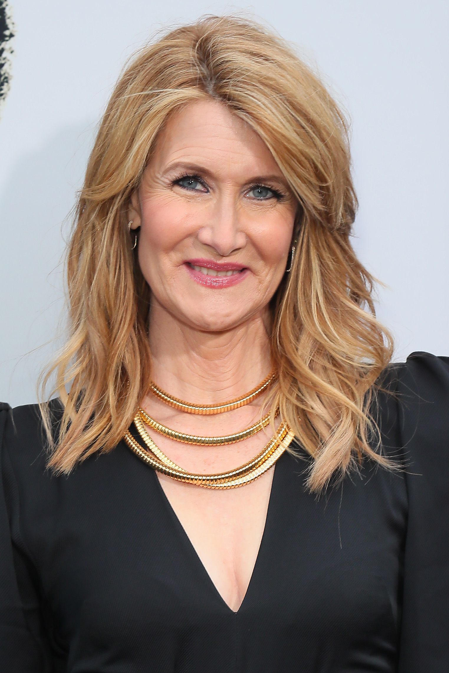 Laura Dern during the premiere of Netflix's "The Black Godfather" at Paramount Theater on the Paramount Studios on June 03, 2019 in Hollywood, California | Source: Getty Images