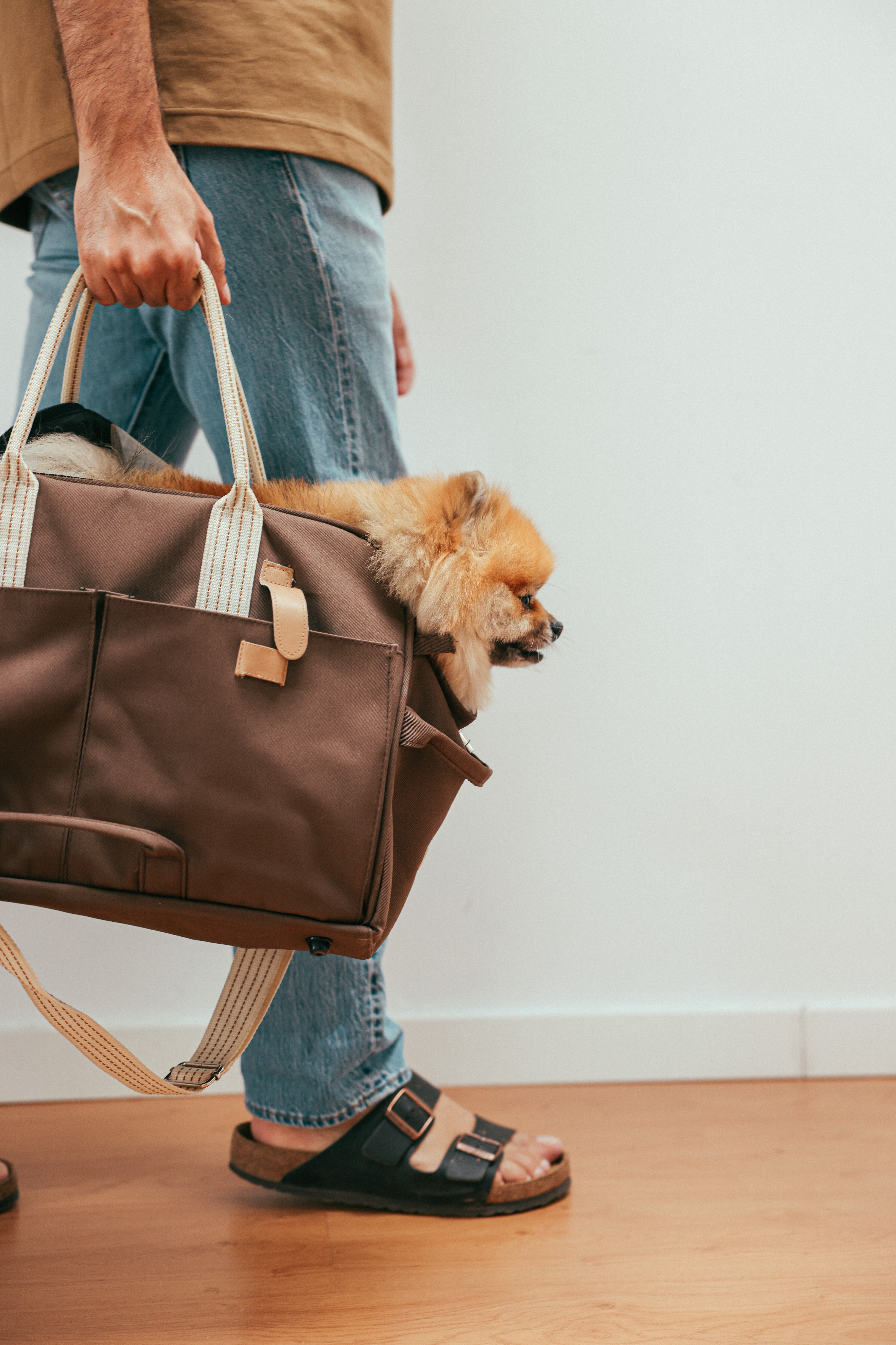 Jack revealed that inside his bag was a puppy. | Source: Pexels