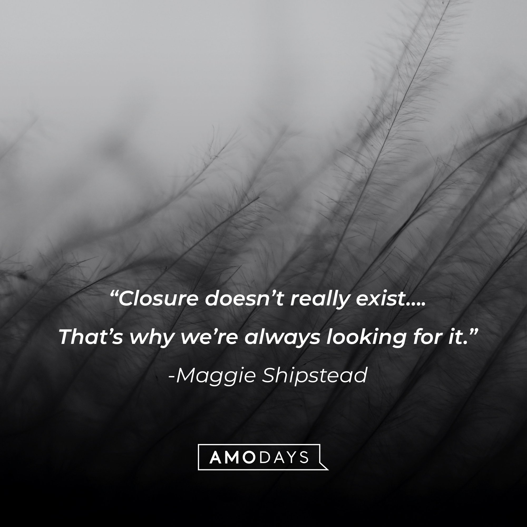 Maggie Shipstead's quote: "Closure doesn't really exist….That's why we're always looking for it." | Image: AmoDays